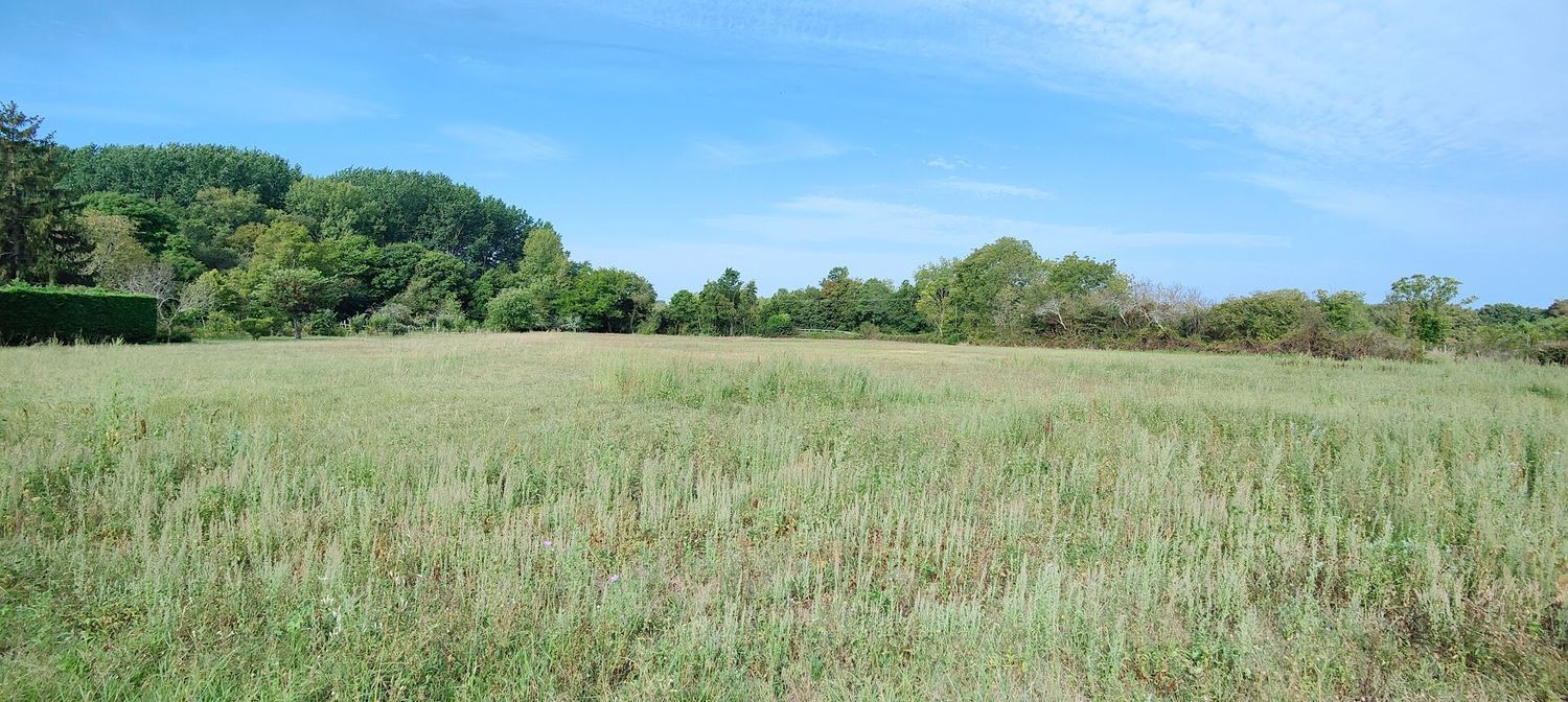 Image de terrain à Cartelègue