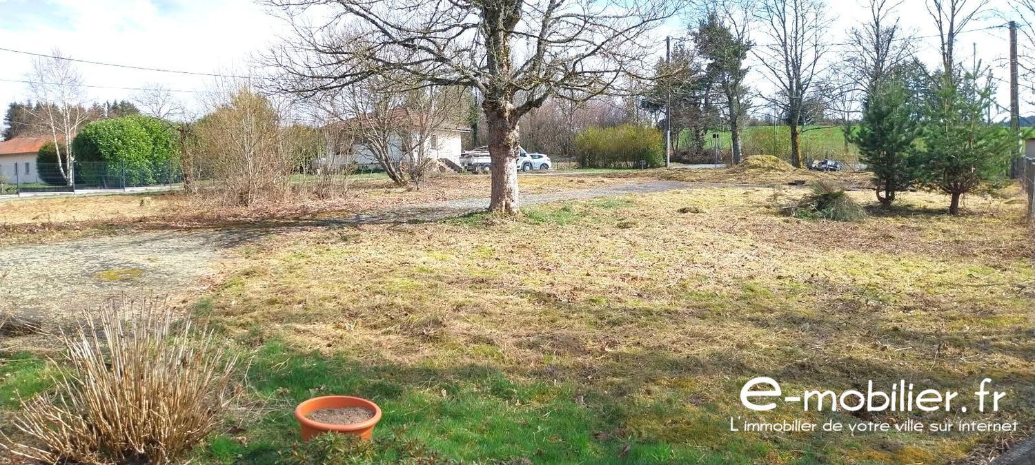 Image de terrain à Saint-Just-en-Chevalet
