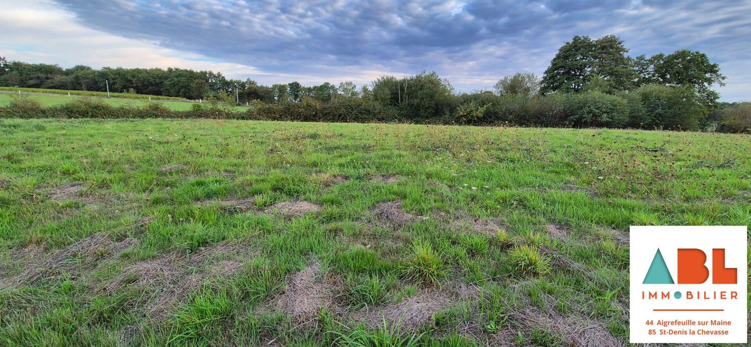 Image de terrain à Saint-Lumine-de-Clisson