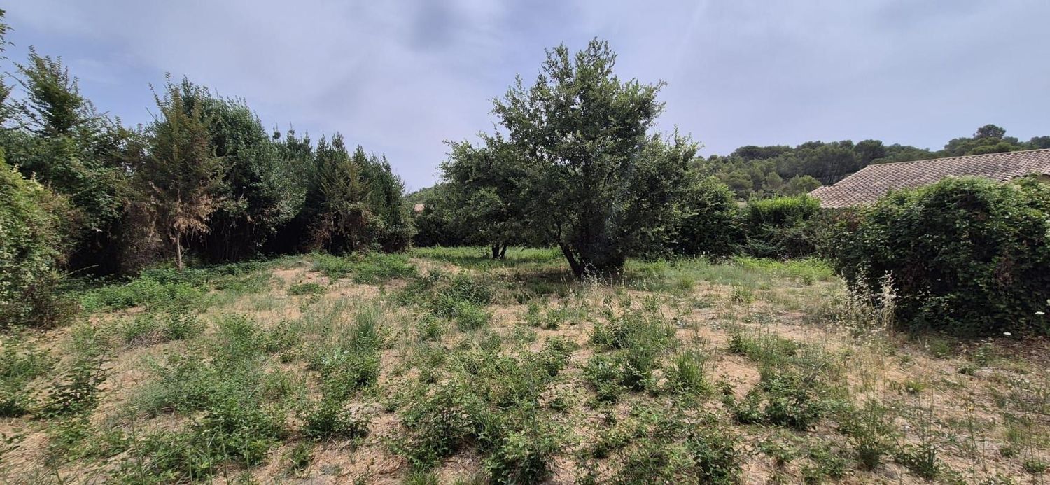 Image de terrain à Boissières