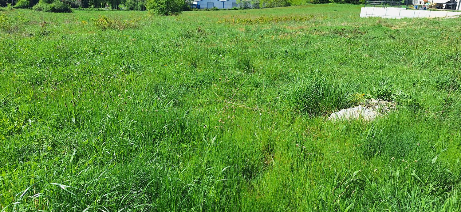 Image de terrain à Panazol