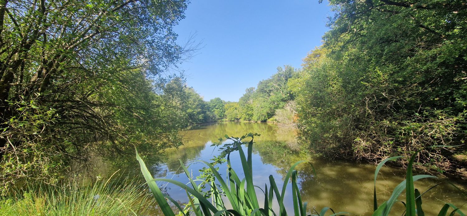 Image de terrain à Saint-Christophe-en-Boucherie