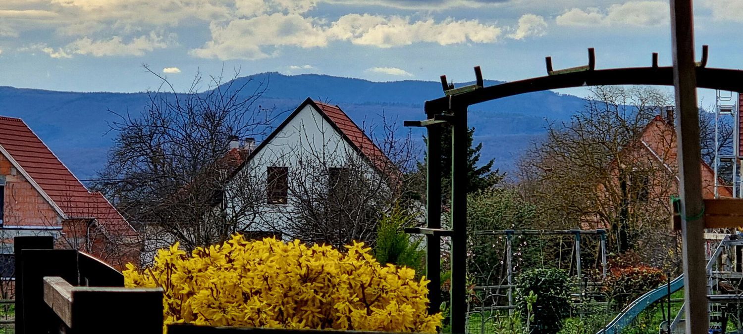 Image de  maison mitoyenne à Sommerau