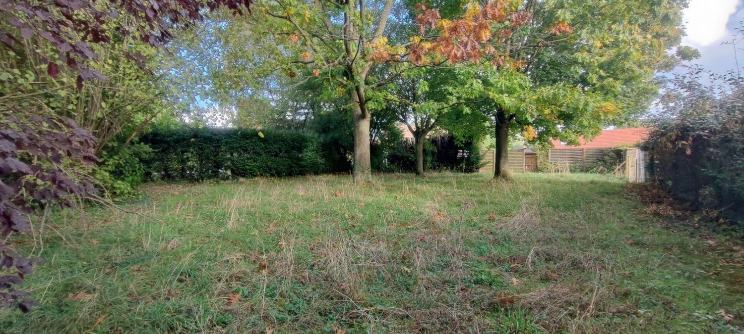 Image de terrain à Attainville