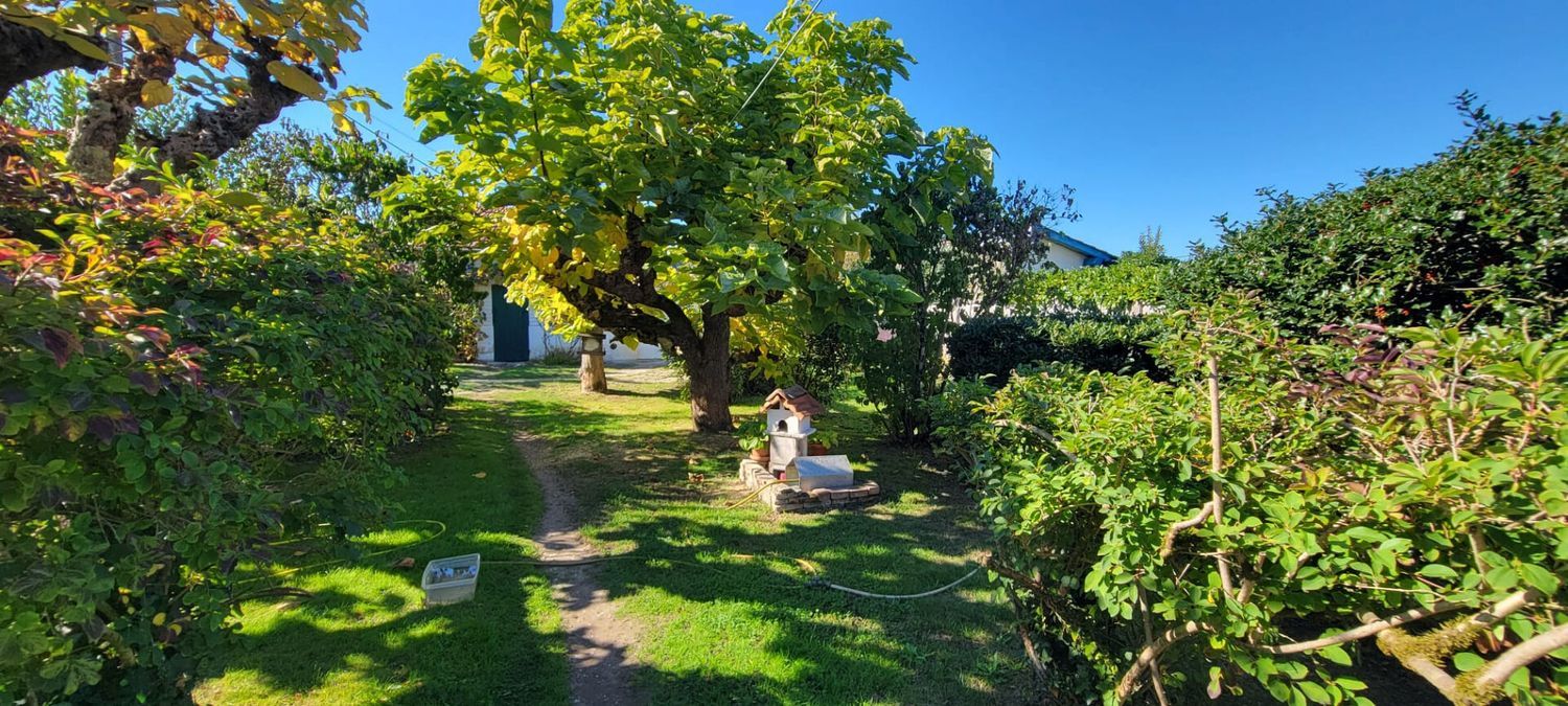 Image Jardin à  maison individuelle de Biganos