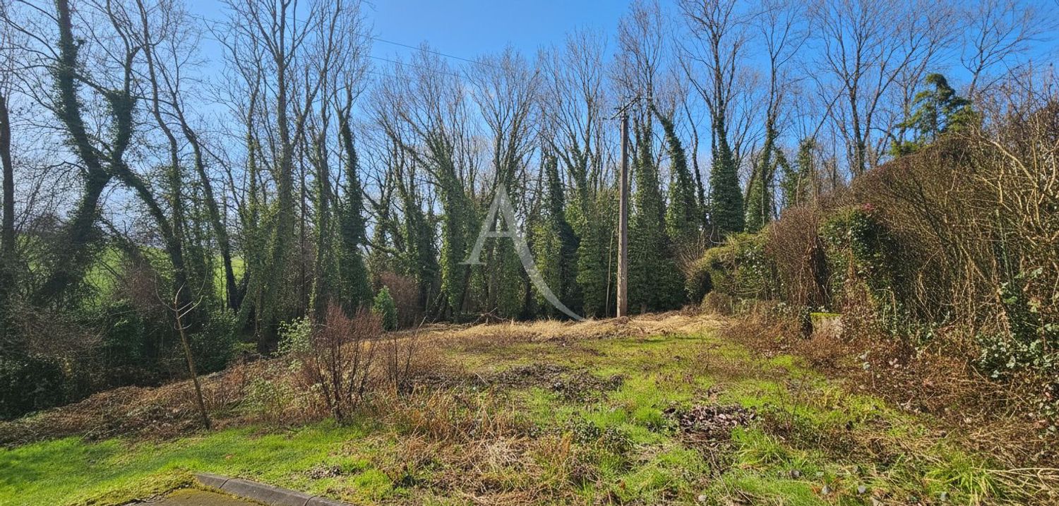 Image de terrain à Villemareuil