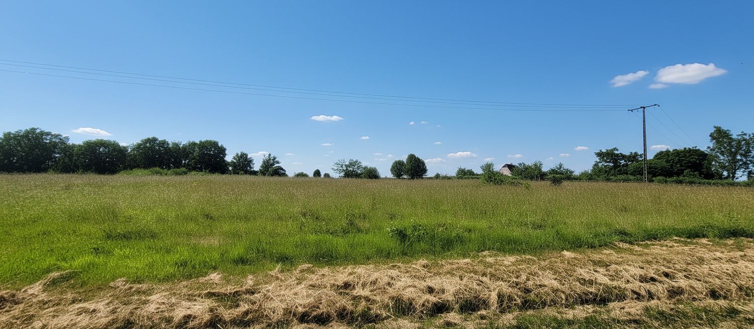 Image de terrain à Plazac