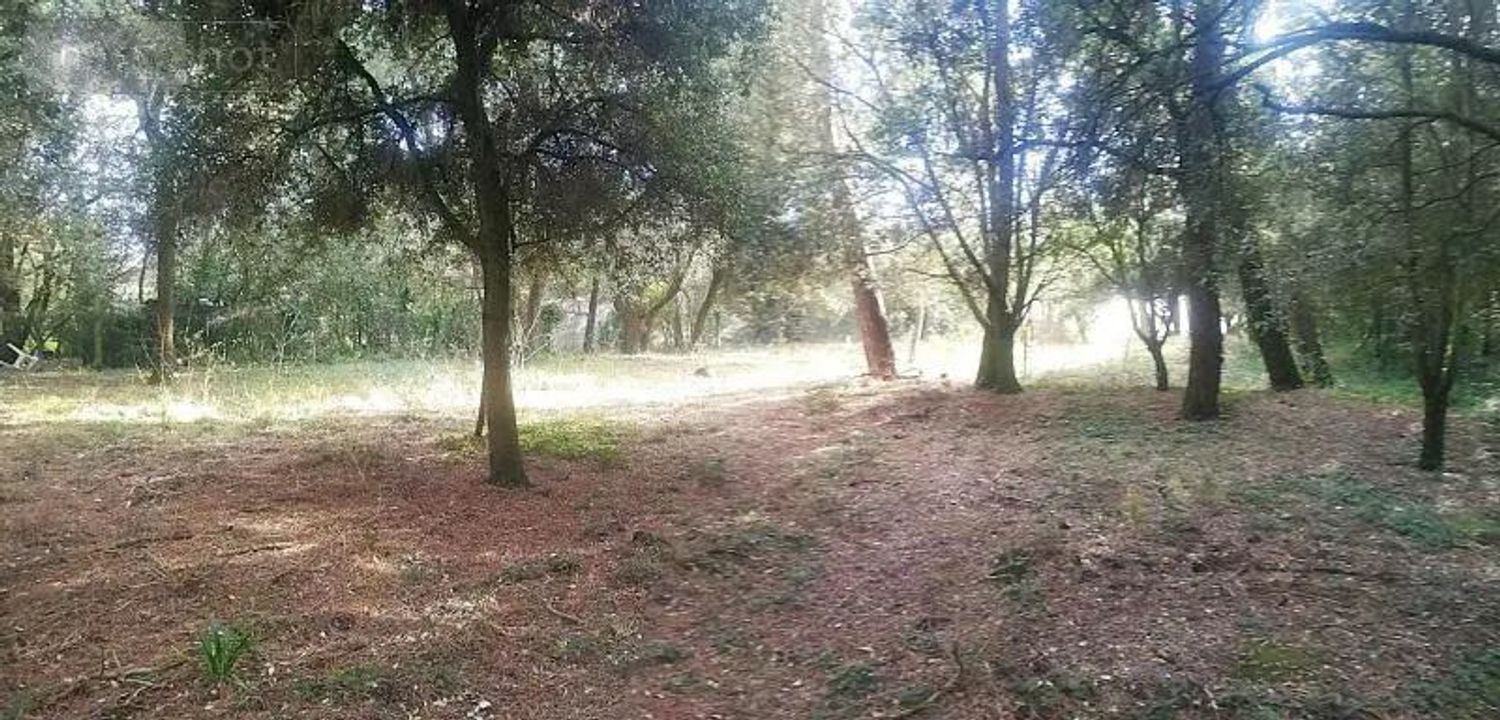 Image de terrain à Saint-Pierre-d'Oléron