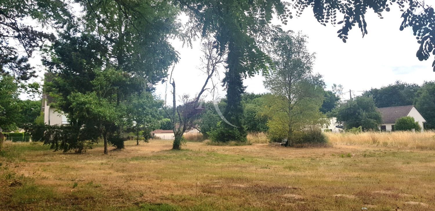 Image de terrain à Lamotte-Beuvron