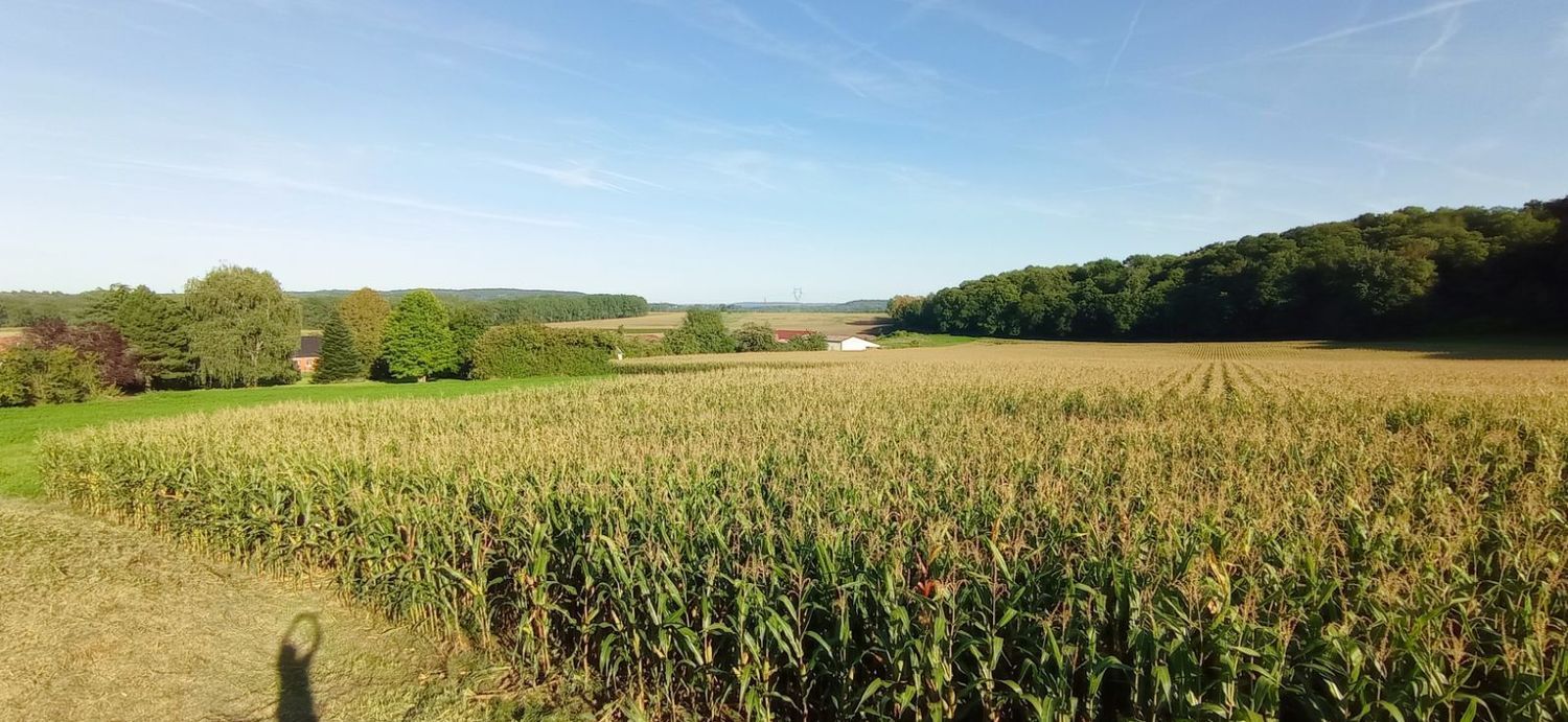 Image de terrain à Dives
