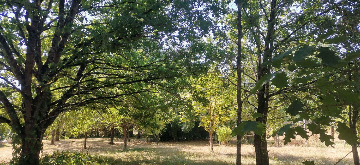 Image de terrain à Nègrepelisse