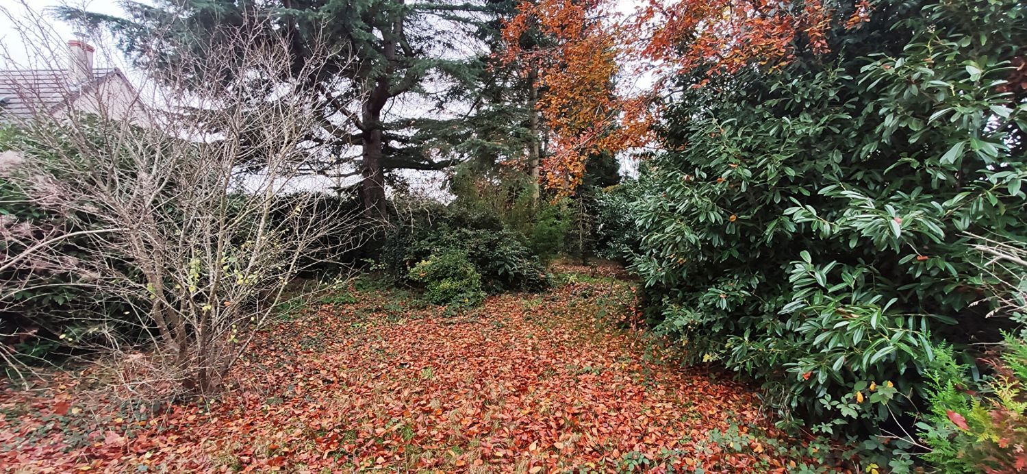 Image de terrain à Jargeau