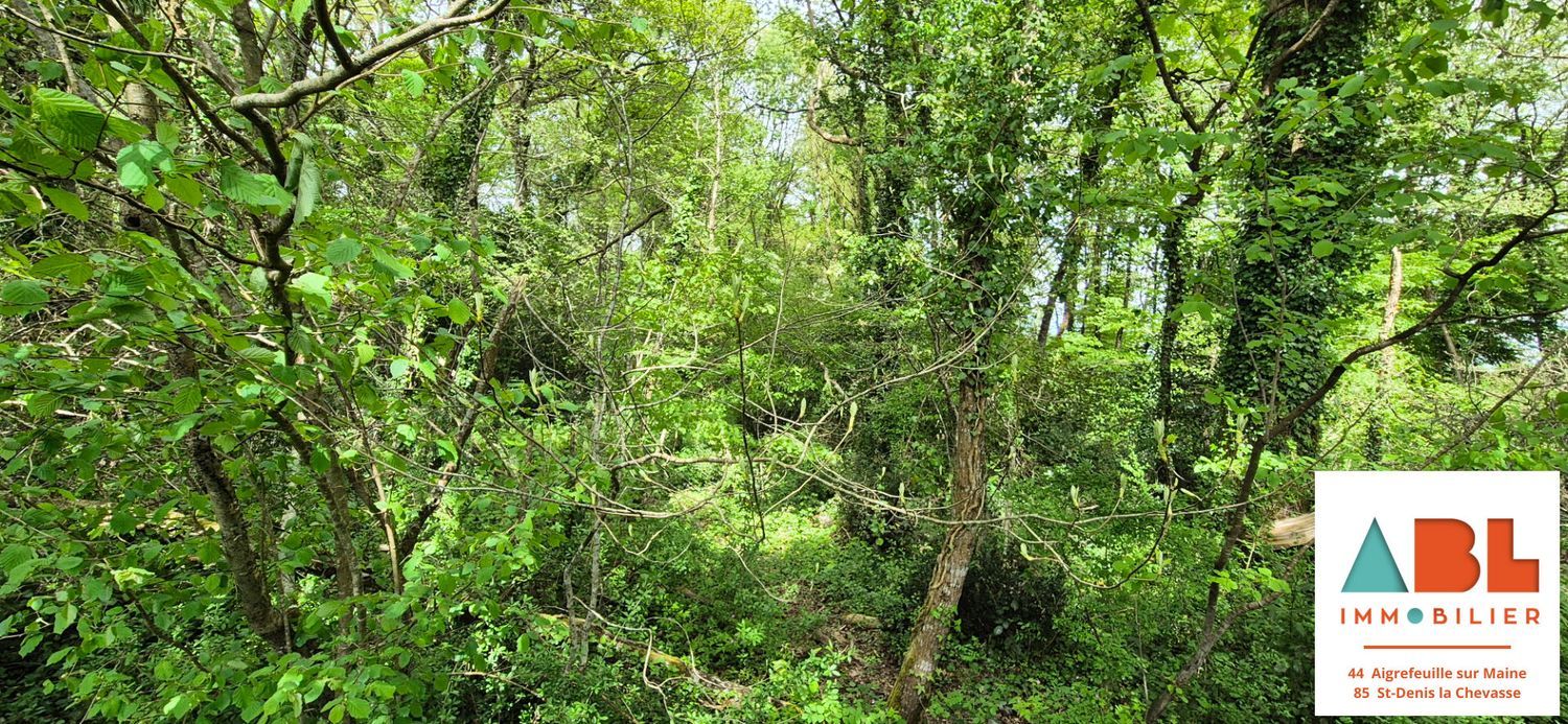 Image de terrain à Maisdon-sur-Sèvre