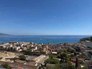 Vues 176 Avenue des Oliviers Roquebrune-Cap-Martin (06190)