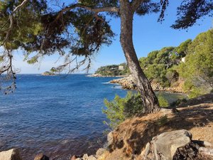 Vues Bandol (83150)