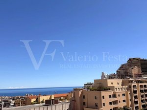 Vues Beausoleil (06240)