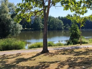 Vues Lognes (77185)