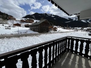 Vues Châtel (74390)